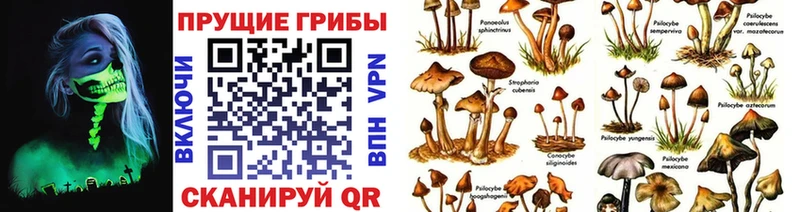 Псилоцибиновые грибы Psilocybine cubensis  mega tor  Ветлуга  даркнет сайт 
